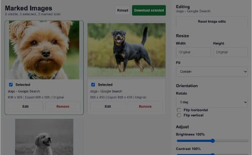 SnapGrab marked images workspace